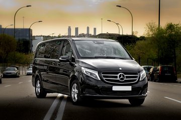 Private Prosecco Italian Wine Tour from Venice by Business Car or Luxury Van