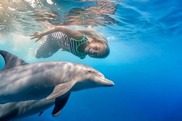 Dolphin House VIP Snorkeling Sea Trip, Lunch, Banana Boat, and Transfer-Hurghada