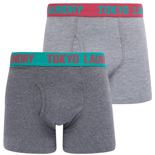 Mens Underwear Tonsley (2 Pack) Boxer Shorts Set in Raspberry Rose / Mint - Tokyo Laundry / S - Tokyo Laundry