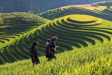 Sapa Trekking 2 Days Start from Lao Cai: Hotel; Local tour guide; Small group