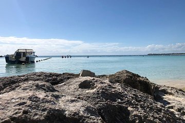 Akumal / snorkeling With Turtles