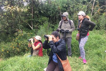 Birdwatching at Monserrate Bogotá 4H