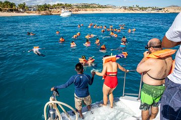 Snorkel Boat and City Tour Combo