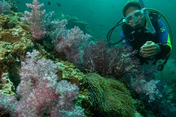 Padi Scuba Diver Course