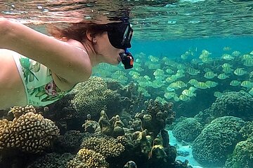 Save 15.00%! Private Guided Snorkeling with Sea Scooter & Cocktail in a Tropical Garden with pool