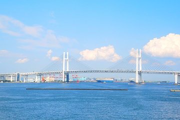 Shared Departure Transfer : Yokohama City to Narita International Airport