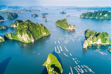 Halong Bay day tour 6 hours Cruise from Hanoi city with luxury van