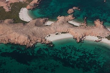 Snorkeling At Daymaniyat Islands Nature Reserve