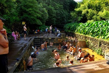 Save 15.01%! São Miguel island - Get to know Furnas like the locals in a full day van tour