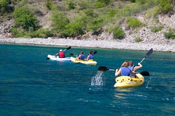 St Kitts Kayak and Snorkel Adventure (Reconfirm 48 hours)