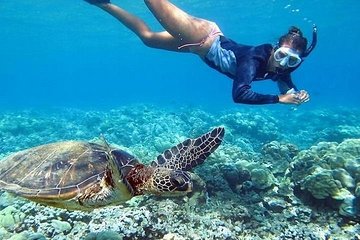 Save 30.00%! North Shore Circle Island Adventure Including Snorkeling with the Turtles