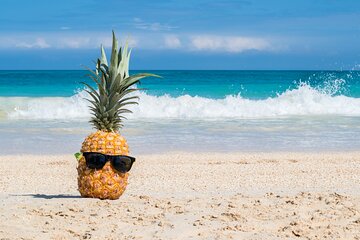 Full-Day Grand Oahu Circle Island Tour with Snorkeling