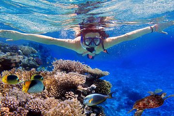Snorkeling, Flying Fish & Donut Boat Experience In Tanjung Benoa