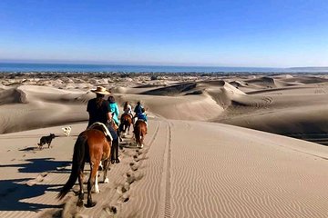 Pacific Horseback Ride on Beach and Sand Dunes with Viña del Mar City Tour