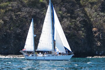 Private Morning Sail & Snorkel Tour