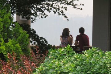 6 Hours Wine Tasting Tour in Willamette Valley with Lunch