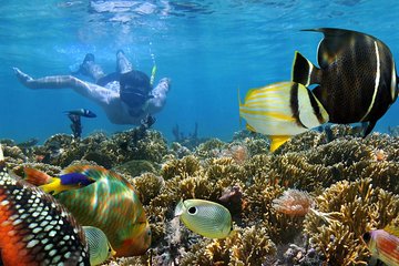 Blue Lagoon Snorkeling and Telaga Waja Rafting Packages