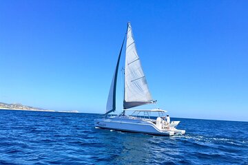 Snorkel Adventure through the Sea of Cortez