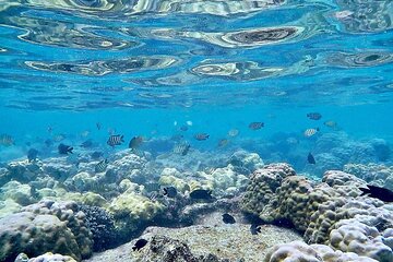 Phu Quoc Snorkeling and fishing to the North full day tour