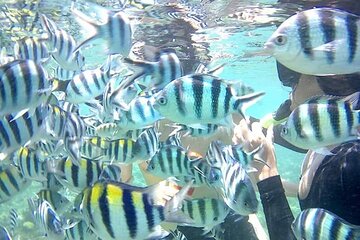 Save 20.01%! Gili Asahan Snorkeling Tour