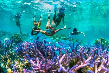 Bloo Lagoon Snorkeling East Bali With Transport and Lunch