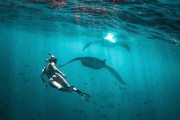 Best of Nusa Penida with Snorkeling Tour