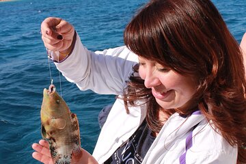 4 Hours Fishing & Snorkeling Sea Trip By Speed Boat With Water Sports - Hurghada