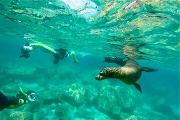 Snorkel & Tour to the Arch Cabo san Lucas