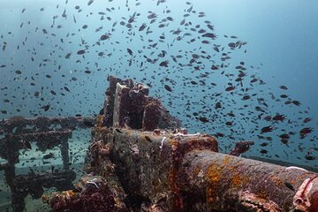 Snorkelling at the USAT Liberty and East Bali