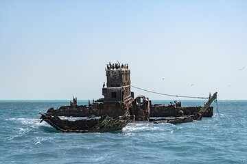 Private Cut Wreck Snorkeling Trip