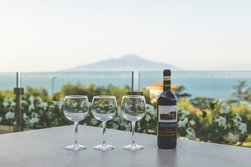 Wine Experience in Sorrento with a Sommelier