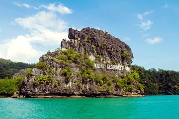 Private Langkawi Mangrove Tour and SkyCab Tour