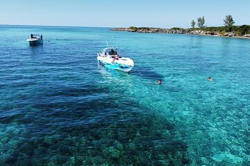 007 Afternoon - Half Day Boat Charter - Rose Island(Snorkeling with Turtles)