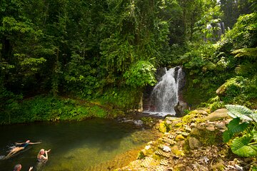 Waterfall and Hot Springs Mud Bath Tour in Rincon de la Vieja