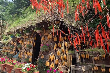 Most of attractive tourist sites in Sapa: Cat Cat, Y linh Ho, Lao Chai, Ta Van