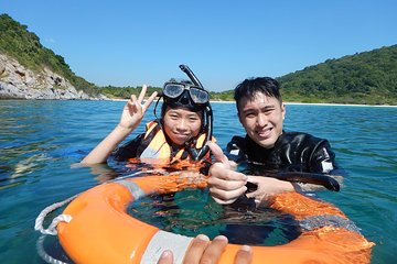 Snorkeling - One Day Trip with Seafari Dive Center