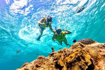 El Cielo Snorkel by Private Boat
