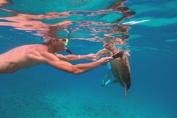 Private Full-Day Cruising and Snorkeling around Mahe