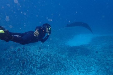Bali Penida Snorkeling Experience with Manta Ray