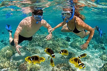 Full-Day Private Guided Lombok Snorkeling 3 Gili Islands