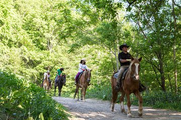 Horseback-Riding in a Country Side in Sapporo - Private Transfer is Included