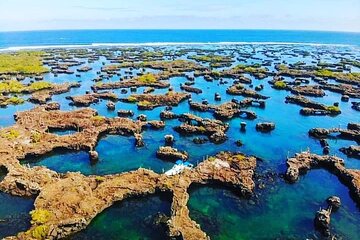 Save 10.00%! Full Day Tour to Los Tuneles with Snorkeling in Isabela Island