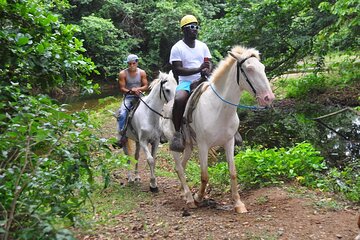 Punta Cana Horseback Riding