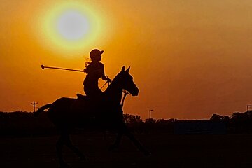 Save 20.00%! Private Experience with Horses and Polo Lessons in Buenos Aires