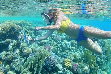 Royal Snorkeling sea trip Paradise or Orange Island, Water Sports - Hurghada