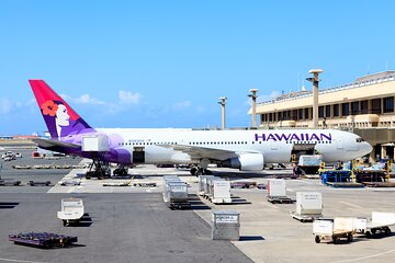 Honolulu Airport & Ko Olina Hotels Private Transfer by Passenger Van(14 ppl)