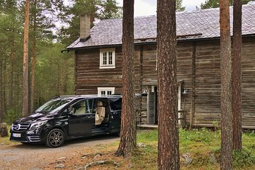 TRANSFER, LUXURY VAN 1-7 PAX: Bergen - Fagernes, Valdres