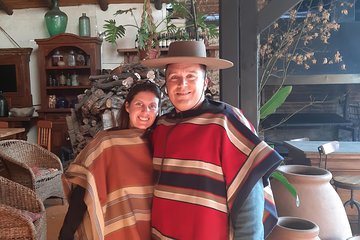 Private Full-Day Cultural Tour: Isla Negra and Pomaire from Santiago