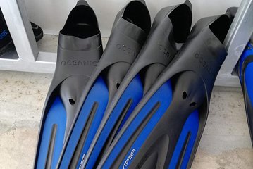 Open heeled with boots or full footed fins