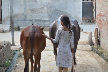 Village tours from delhi in one day